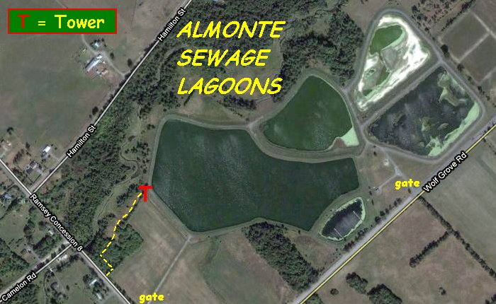 Google Satellite Map of the Almonte Sewage Lagoons Area