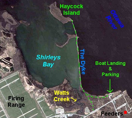 Google Satellite Map of Shirleys Bay Dyke Area