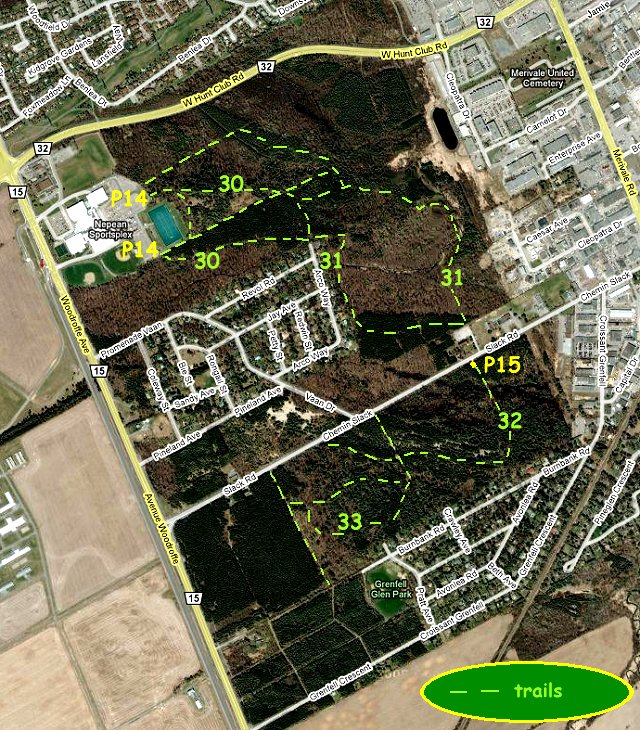 Google Satellite Map of Pinhey Forest Reserve