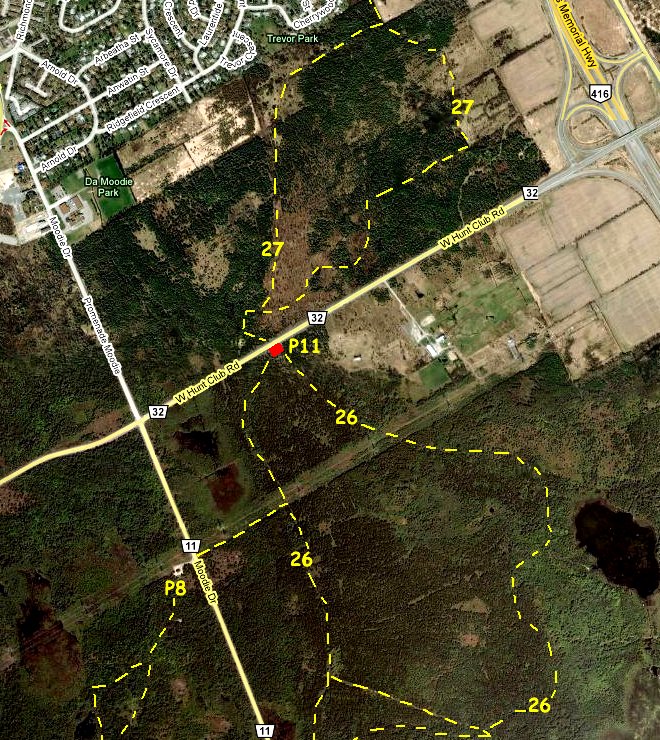 Google Satellite Map of West Hunt Club Road Trails Area