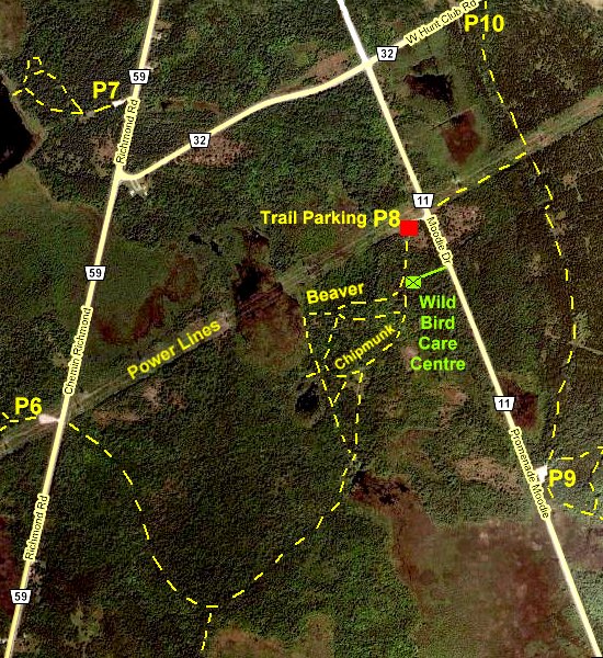 Google Satellite Map of Beaver and Chipmunk Trails Area