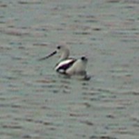 Winchester, ON - Sep. 28, 2003