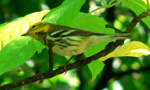 Hog's Back Park, Ottawa, ON - Sep. 4, 2007