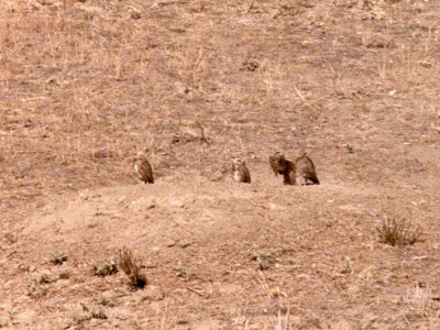 c. Okanogan, WA - Aug. 11, 1979