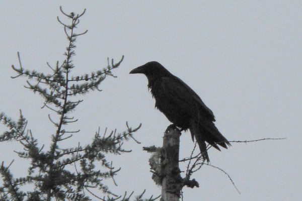 Port Malcom Road, Cape Breton, NS - June 30, 2006
