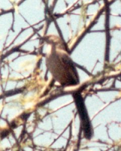 c. Ramer Lake, CA - May 28, 1980