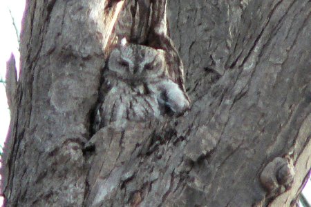 Ottawa West, ON - February 7, 2007