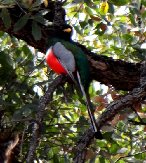 Patagonia Lake State Park, AZ - Mar. 19, 2013