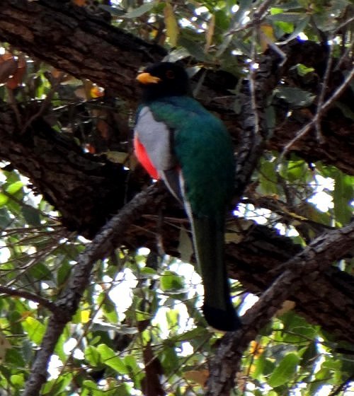 Patagonia Lake State Park, AZ - Mar. 19, 2013