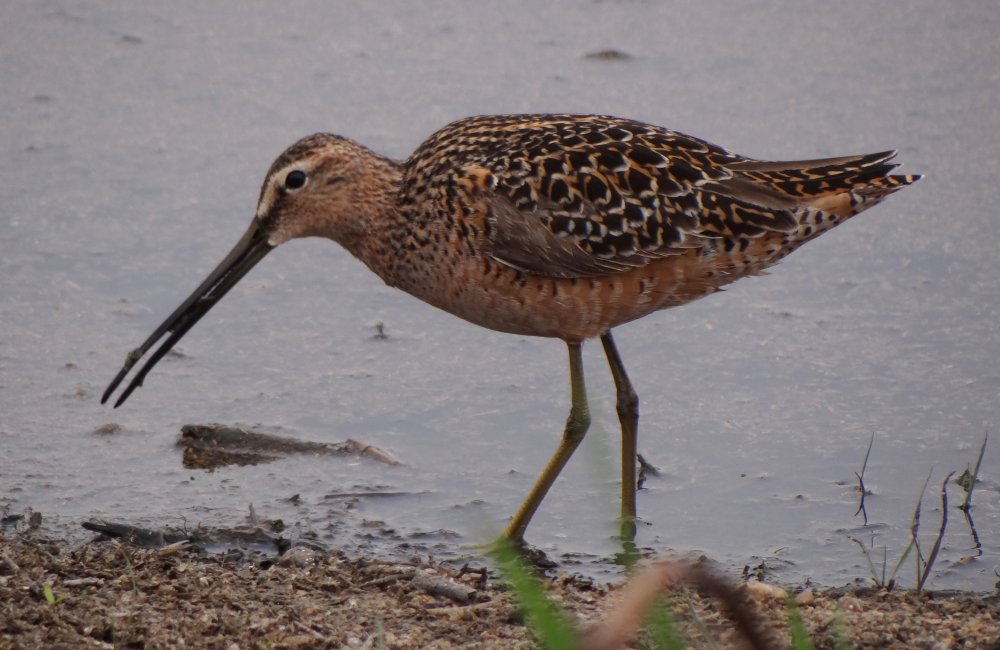 W of Midale, SK - May 18, 2013