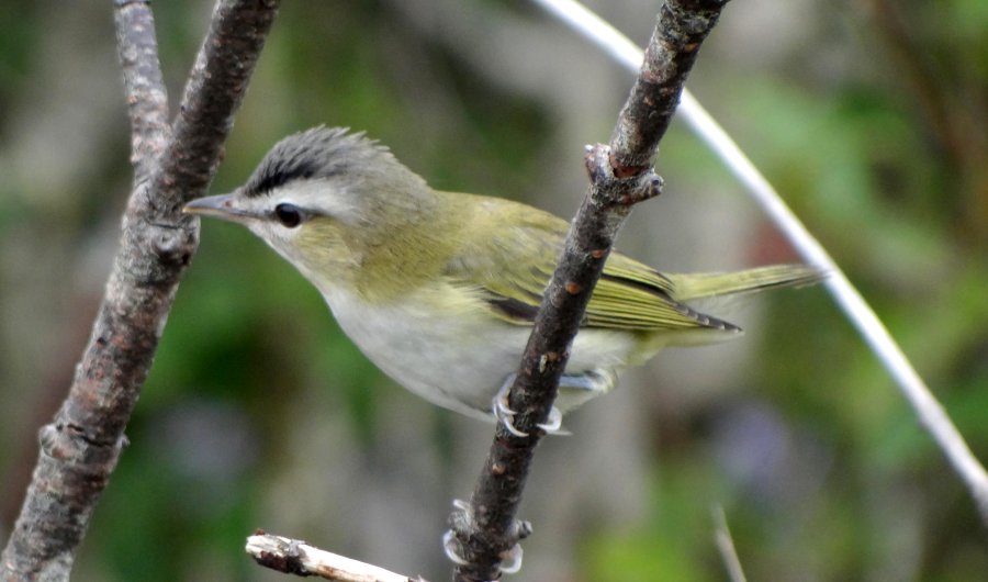 Yarmouth, NS - Sep. 10, 2015