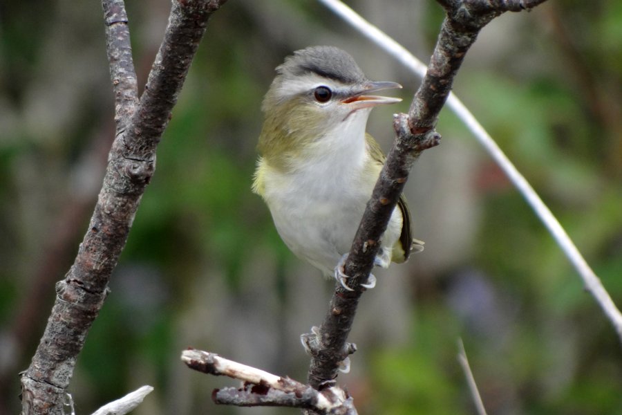 Yarmouth, NS - Sep. 10, 2015