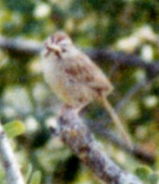 SE of Livermore, CA - May 2, 1980