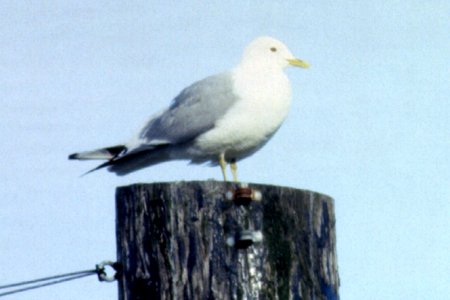 Valdez, AK - May 1, 1989