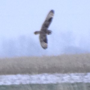 Grand Pre, NS - Nov. 29, 2013 - in flight