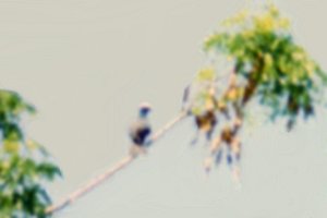 Key West, FL - May 13, 1985