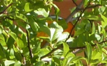 Grants, NM - May 22, 2010