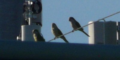 13th Avenue N and 40th Street, St. Petersburg, FL - Jan. 15, 2013