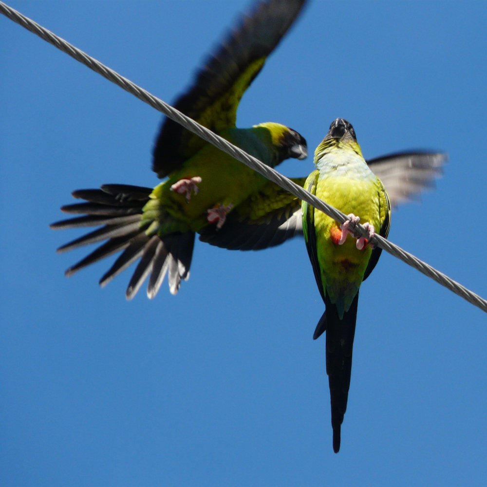 Gulfport Marina, Gulfport, FL - Jan. 15, 2013