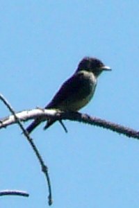 Presqu'ile Provincial Park, ON - Aug. 29, 2012