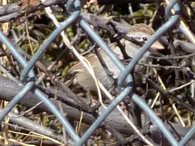 Canoa Road Rest Area, I19, AZ - Jan. 4, 2011