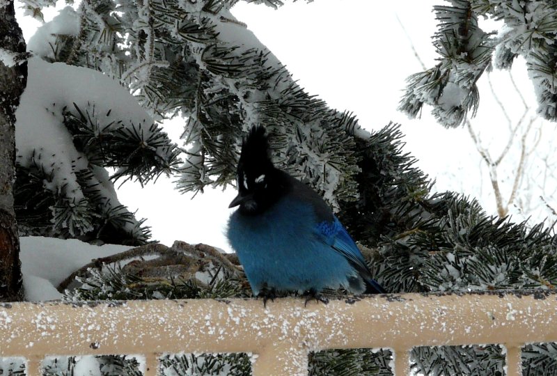 Sandia Crest, NM - Dec. 21, 2011 - Interior race