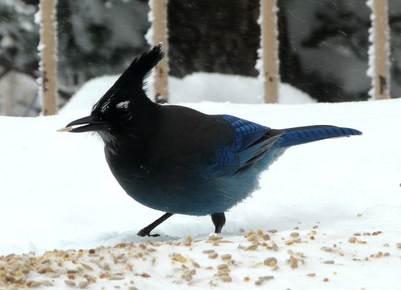 Sandia Crest, NM - Dec. 21, 2011 - Interior race