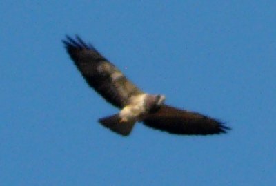 Range Road 3063, S of Chaplin, SK - May 17, 2013 - in flight