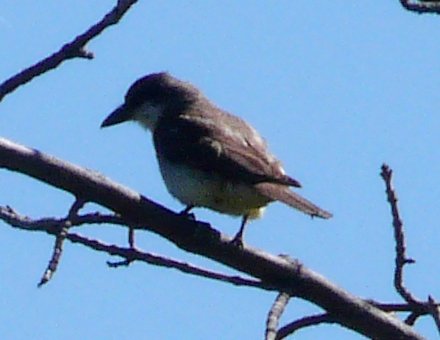 Presqu'ile Provincial Park, ON - Aug. 29, 2012