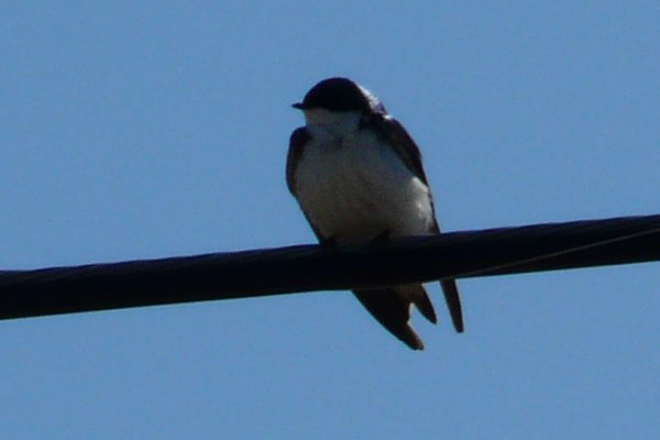 St. Croix, NS - May 13, 2014