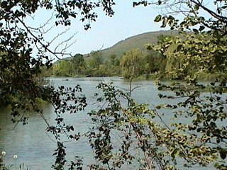 Looking WNW from the Chemin Kelly Crossing