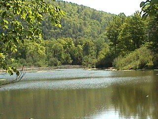 Looking ESE from the Chemin Kelly Crossing