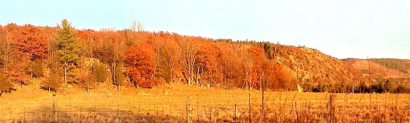 Autumn Sunset Brightens the Escarpment - Viewed from Ramsay Lake Road below the Escarpment