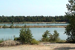 The Chemin Vanier (Road) Quarry Ponds