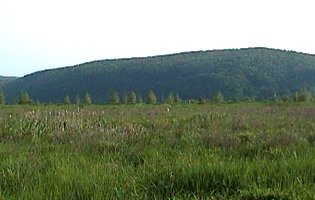 View of Chemin Cook (Cook Road) Dumpsite