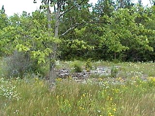 Edge of the Alvar