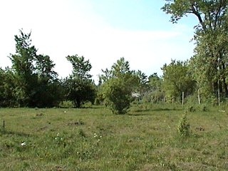 Pasture and Edge along Chemin Pink