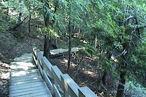 Boardwalk along Pink Lake