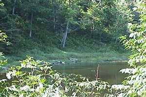Bourgeois Lake