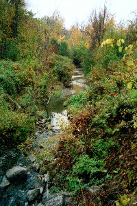 Site of Proposed Golf Course