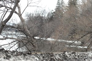 View of Kingsview Park