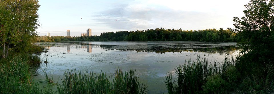 Mud Lake as seen from Cassels Street