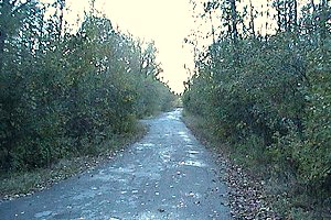 View of Shirleys Bay Cottage area