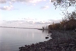 Shoreline of Riverfront Park