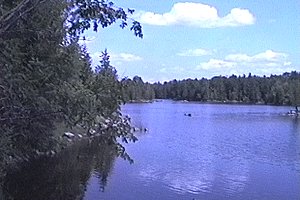 View of Morris Island Conservation Area