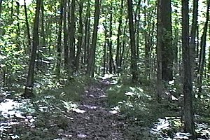 View of Morris Island Conservation Area