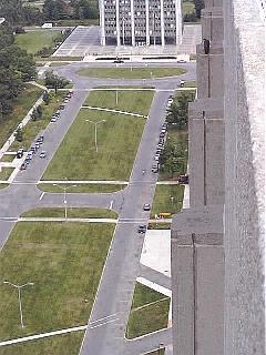 Peregrine Falcon on the Coats Building