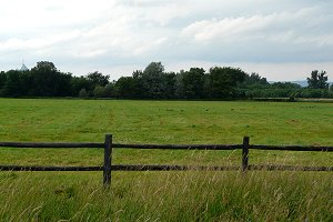 View of National Capital Commission Equestrian Park Fields along Corkstown Road