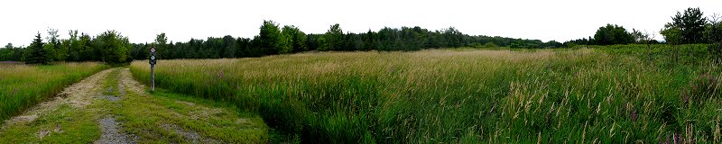View of Corkstown Road Trail Area from P3