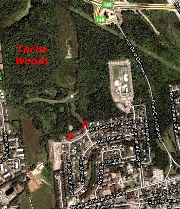Google Satellite Map of Taché Gardens Woods